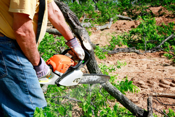 Best Emergency Tree Removal  in Sunnyslope, WA